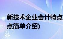 新技术企业会计特点(对于新技术企业会计特点简单介绍)