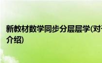 新教材数学同步分层层学(对于新教材数学同步分层层学简单介绍)