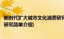 新时代扩大城市文化消费研究(对于新时代扩大城市文化消费研究简单介绍)
