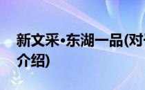 新文采·东湖一品(对于新文采·东湖一品简单介绍)