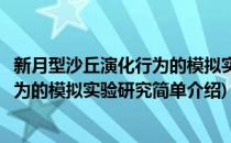 新月型沙丘演化行为的模拟实验研究(对于新月型沙丘演化行为的模拟实验研究简单介绍)