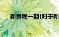 新景观一期(对于新景观一期简单介绍)