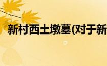 新村西土墩墓(对于新村西土墩墓简单介绍)