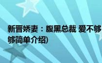 新晋娇妻：腹黑总裁 爱不够(对于新晋娇妻：腹黑总裁 爱不够简单介绍)