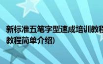 新标准五笔字型速成培训教程(对于新标准五笔字型速成培训教程简单介绍)