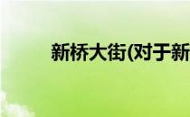 新桥大街(对于新桥大街简单介绍)