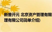 新普开元 北京资产管理有限公司(对于新普开元 北京资产管理有限公司简单介绍)