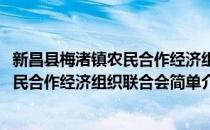 新昌县梅渚镇农民合作经济组织联合会(对于新昌县梅渚镇农民合作经济组织联合会简单介绍)
