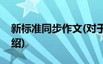 新标准同步作文(对于新标准同步作文简单介绍)