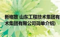 新格致 山东工程技术集团有限公司(对于新格致 山东工程技术集团有限公司简单介绍)