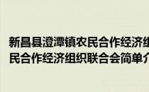 新昌县澄潭镇农民合作经济组织联合会(对于新昌县澄潭镇农民合作经济组织联合会简单介绍)