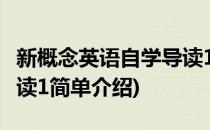 新概念英语自学导读1(对于新概念英语自学导读1简单介绍)