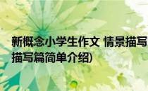 新概念小学生作文 情景描写篇(对于新概念小学生作文 情景描写篇简单介绍)