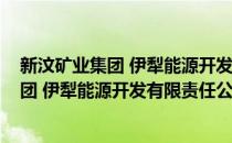 新汶矿业集团 伊犁能源开发有限责任公司(对于新汶矿业集团 伊犁能源开发有限责任公司简单介绍)