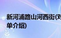 新河浦路山河西街(对于新河浦路山河西街简单介绍)