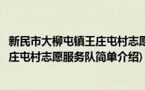 新民市大柳屯镇王庄屯村志愿服务队(对于新民市大柳屯镇王庄屯村志愿服务队简单介绍)