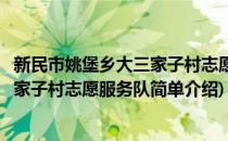 新民市姚堡乡大三家子村志愿服务队(对于新民市姚堡乡大三家子村志愿服务队简单介绍)