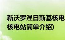 新沃罗涅日斯基核电站(对于新沃罗涅日斯基核电站简单介绍)