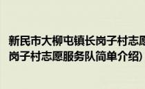 新民市大柳屯镇长岗子村志愿服务队(对于新民市大柳屯镇长岗子村志愿服务队简单介绍)