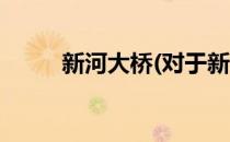 新河大桥(对于新河大桥简单介绍)
