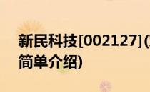 新民科技[002127](对于新民科技[002127]简单介绍)