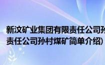 新汶矿业集团有限责任公司孙村煤矿(对于新汶矿业集团有限责任公司孙村煤矿简单介绍)