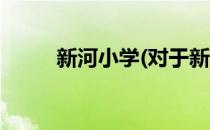 新河小学(对于新河小学简单介绍)