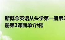 新概念英语从头学第一册第3课(对于新概念英语从头学第一册第3课简单介绍)