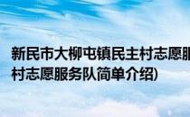 新民市大柳屯镇民主村志愿服务队(对于新民市大柳屯镇民主村志愿服务队简单介绍)