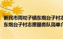 新民市周坨子镇东炮台子村志愿服务队(对于新民市周坨子镇东炮台子村志愿服务队简单介绍)