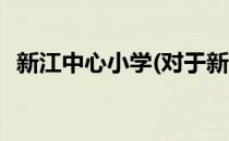 新江中心小学(对于新江中心小学简单介绍)