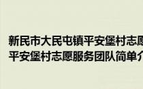 新民市大民屯镇平安堡村志愿服务团队(对于新民市大民屯镇平安堡村志愿服务团队简单介绍)