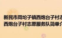 新民市周坨子镇西炮台子村志愿服务队(对于新民市周坨子镇西炮台子村志愿服务队简单介绍)