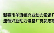 新泰市羊流镇兴业动力设备厂党员志愿服务队(对于新泰市羊流镇兴业动力设备厂党员志愿服务队简单介绍)