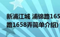 新浦江城 浦锦路1658弄(对于新浦江城 浦锦路1658弄简单介绍)