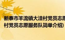 新泰市羊流镇大洼村党员志愿服务队(对于新泰市羊流镇大洼村党员志愿服务队简单介绍)