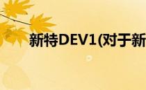 新特DEV1(对于新特DEV1简单介绍)