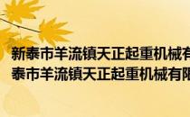 新泰市羊流镇天正起重机械有限公司党员志愿服务队(对于新泰市羊流镇天正起重机械有限公司党员志愿服务队简单介绍)