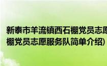 新泰市羊流镇西石棚党员志愿服务队(对于新泰市羊流镇西石棚党员志愿服务队简单介绍)