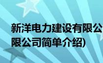 新洋电力建设有限公司(对于新洋电力建设有限公司简单介绍)
