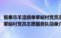 新泰市羊流镇单家峪村党员志愿服务队(对于新泰市羊流镇单家峪村党员志愿服务队简单介绍)