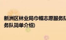新洲区林业局巾帼志愿服务队(对于新洲区林业局巾帼志愿服务队简单介绍)