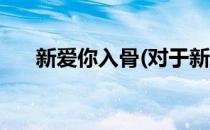 新爱你入骨(对于新爱你入骨简单介绍)