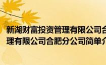 新湖财富投资管理有限公司合肥分公司(对于新湖财富投资管理有限公司合肥分公司简单介绍)