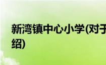 新湾镇中心小学(对于新湾镇中心小学简单介绍)