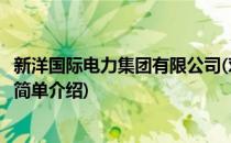 新洋国际电力集团有限公司(对于新洋国际电力集团有限公司简单介绍)