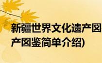 新疆世界文化遗产図鉴(对于新疆世界文化遗产図鉴简单介绍)