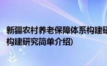 新疆农村养老保障体系构建研究(对于新疆农村养老保障体系构建研究简单介绍)