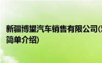 新疆博望汽车销售有限公司(对于新疆博望汽车销售有限公司简单介绍)