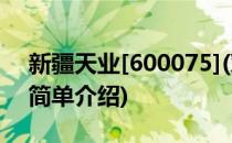新疆天业[600075](对于新疆天业[600075]简单介绍)